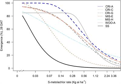 Mechanism of Resistance to S-metolachlor in Palmer amaranth